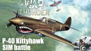 WarThunder: P-40 SIM battle - 