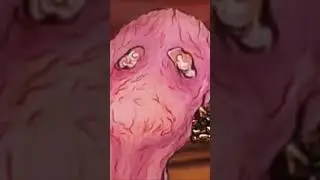 The human condition