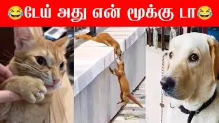 😂🐕🐈அண்ணே! ஒரே ஒரு நிமிஷம் வாங்க அண்ணே...🐕🐈😂#viral #trending #comedy #funnyanimalvideos