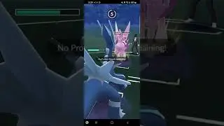 neutral Dragon Breath damage DOES NOT CARE about shields | Go Battle League #masterleague #pokemongo