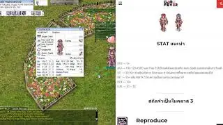 สเตตัส Status Shadow Chaser จอมโจรสายAuto Spell [อัพยังไง?]