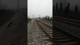 Rail flaw detection