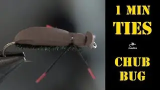 ONE MINUTE TIES | Alder Leaf Beetle