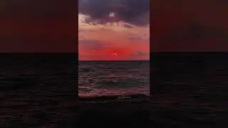 562