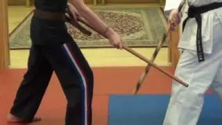 Bo Sparring #4 - Gedan Bo Kumite with Partner