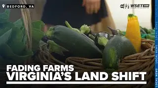Why Virginia has lost thousands of farms since 2017