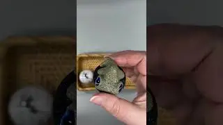 Mini pets for Kelly