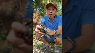 Combo bộ cần c&acirc;u lure UL.. chỉ 240k #fishing #fish #cauca