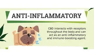 CBD dog treats review. Hemp Dog Treats