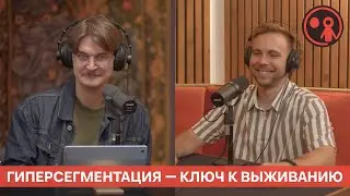Гиперсегментация: как бренду отстроиться от конкурентов в digital | Подкаст &laquo;Маркетинг и реальность&raquo;