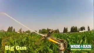 Big Gun Irrigation