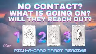 No Contact? What's Going On? Will They Reach Out? 📲 PICK-A-CARD 🔮 Timeless Tarot Reading 🦋
