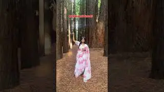 Explore the beauty of Australia #redwoodforest #redwood #australia #victoria #melbourne