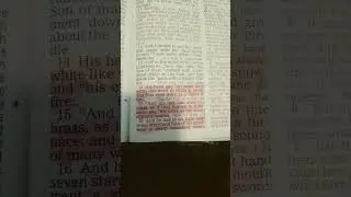 Revelation 1:14,15 as if they burned in a furnace