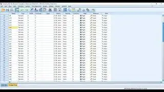 research methods SPSS reliability