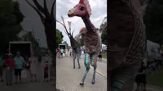 Street Performers 😲 Montreal Canada ✨ #performence #theater #montreal  #funny