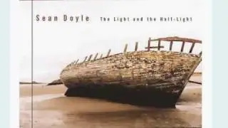 Sean Doyle - The yellow bittern