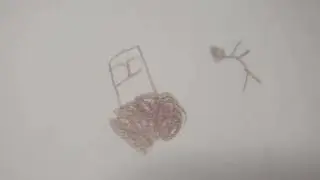 Paper Sheet Animation