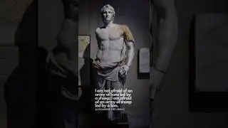 Alexander The Great #war #quote #leadership #shorts
