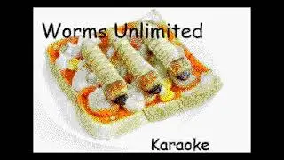 Chaz Worm Karaoke - Hurtin' USA (karaoke)