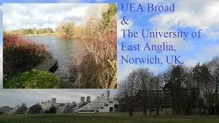 UEA broad, University of East Anglia, Norwich, UK in 2018.