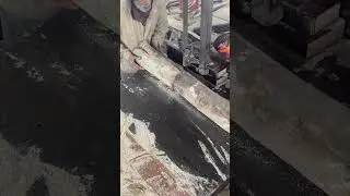 Bandsaw is in action #wood #wheelsaw #carpentry #bridgesaw #sawblade #foryou #woodwork #viral
