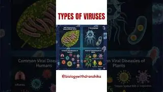 Types of Viruses &mdash; viruses differ by shape, genome, and host. #types #of #virus #virology #biology