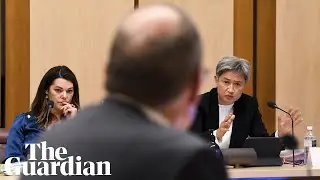 &lsquo;This is for the benefit of Miss Higgins&rsquo;: Senate committee comments spark uproar