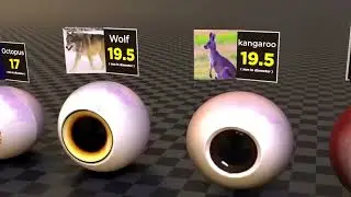 Eye Size Comparison | Monster Eyes size comparison