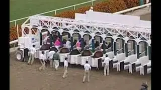 Candy Ride - Hollywood Park Allowance 2003