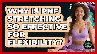 Why Is PNF Stretching So Effective For Flexibility? - High Energy Training Hub