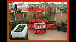 PASEO POR LA TERRAZA HUERTO EN MAYO /  LA TERRAZA HUERTO DE ESTEBAN