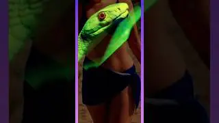 😡😡Death game,Asian Bullfrog Eating Vs Big Snake , battle #shorts #short 🔥😡😡😡😡