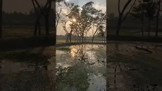 নীরব মন মানেই ফাঁকা নয় &hearts;️ #silentmind  #reelsvideoシ  #deepfeeling