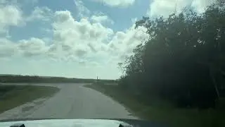 Alligator River National Wildlife Refugee