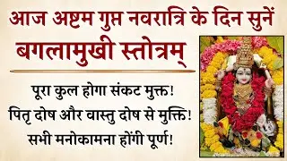 गुप्त नवरात्रि अष्टमी 2026 | बगलामुखी स्तोत्र | Gupt Navratri Ashtami 2026 | सभी कामना होगी पूर्ण