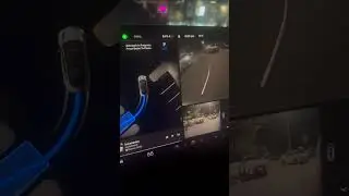 Tesla Auto Park! 2024.2.12