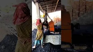 Coal Powder Making for Brick Kiln | ইট ভাটার জন্য কয়লা গুঁড়ো | ईंट भट्ठे के लिए कोयला पाउडर