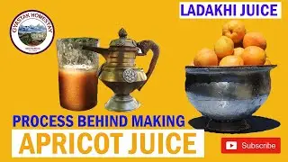 Ladakhi Apricot Juice || Process behind the production || Organic Juice