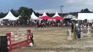 Kaschira & Stefan Fruhen Punkte S Springen m. Joker 1,40 M Heinsberg Classics 2019