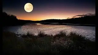 Moon River - Harmonica cover