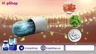 Tozalash tizmi Doktor More Uz / Система очищения Доктор Море Uz