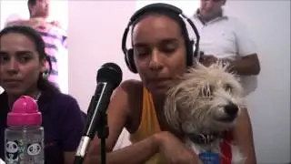 Conexi&oacute;n Animal