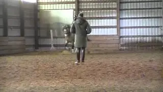 MOV0B7