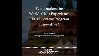 What makes the World-class Experience EXCELLerator Program Innovative?