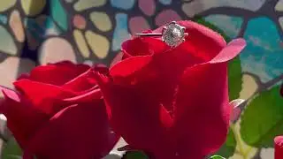 A Close Look at Doveggs Moissanite - The Portuguese cut! 🌹