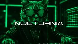 Guau - Nocturnal Energy (Intro Mix)