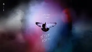 Someday is Today by Peter Katz | Lyric Video