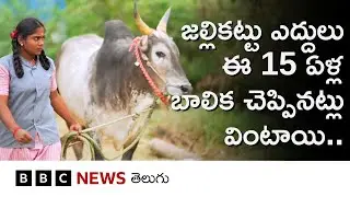 Jallikattu: ఈ 15 ఏళ్ల బాలిక కండలు తిరిగినఈ జల్లికట్టు ఎద్దులకు శిక్షణ ఇస్తోంది..| BBC Telugu