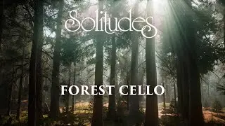 Dan Gibson&rsquo;s Solitudes - Nature's Path | Forest Cello